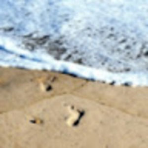 Meet your Posher, Roni